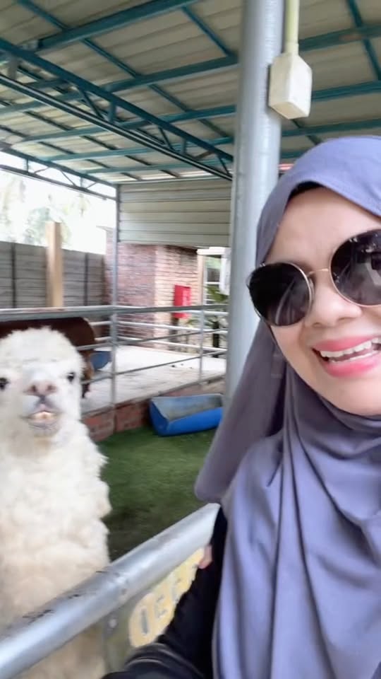 Alamak! Ramai mesej bertanya saya dan hubby kami ambil cuti ke semalam pergi ke …